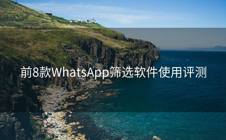 前8款WhatsApp筛选软件使用评测