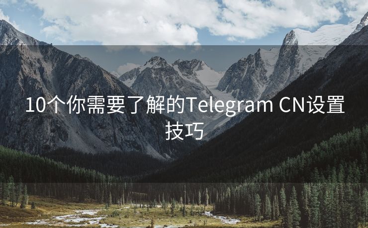 10个你需要了解的Telegram CN设置技巧