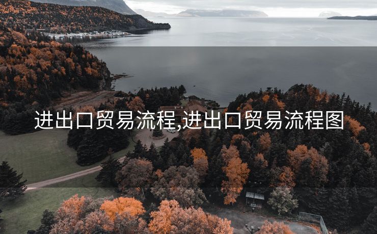 进出口贸易流程,进出口贸易流程图