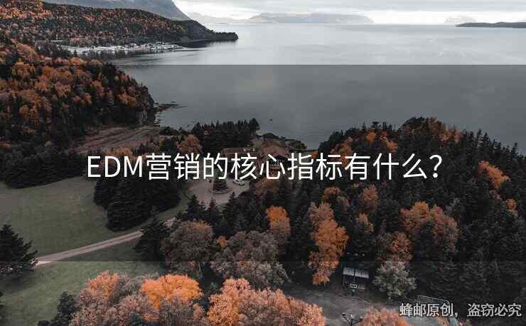 EDM营销的核心指标有什么？