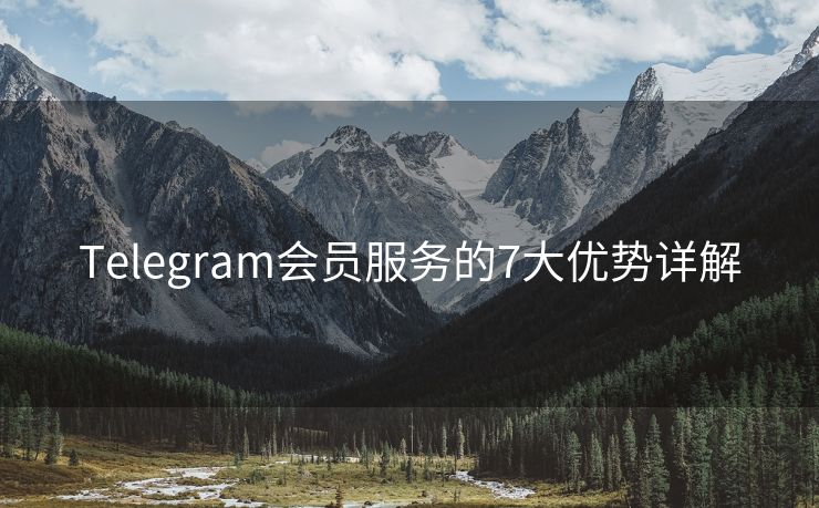 Telegram会员服务的7大优势详解