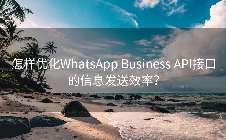 怎样优化WhatsApp Business API接口的信息发送效率？