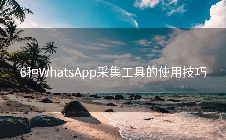 6种WhatsApp采集工具的使用技巧