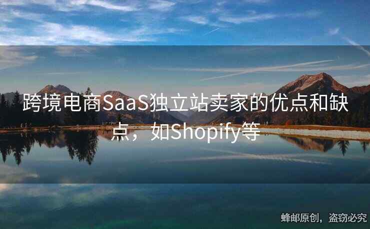 跨境电商SaaS独立站卖家的优点和缺点，如Shopify等