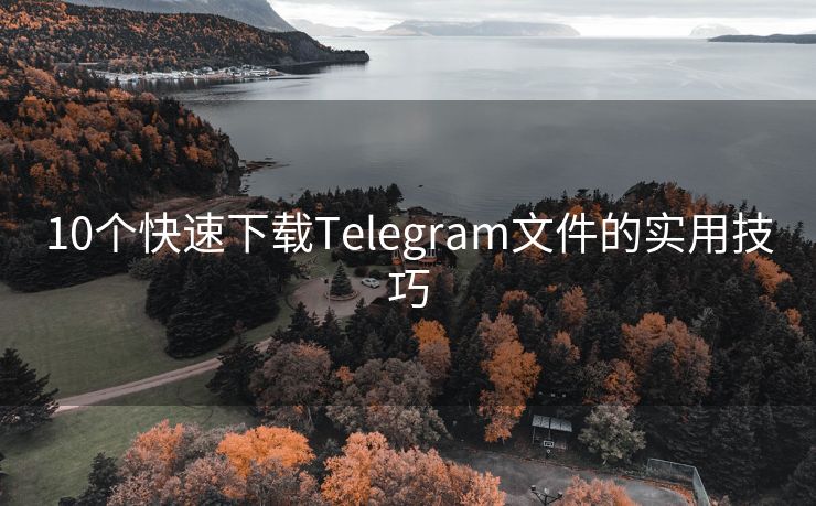 10个快速下载Telegram文件的实用技巧