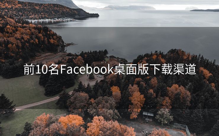 前10名Facebook桌面版下载渠道