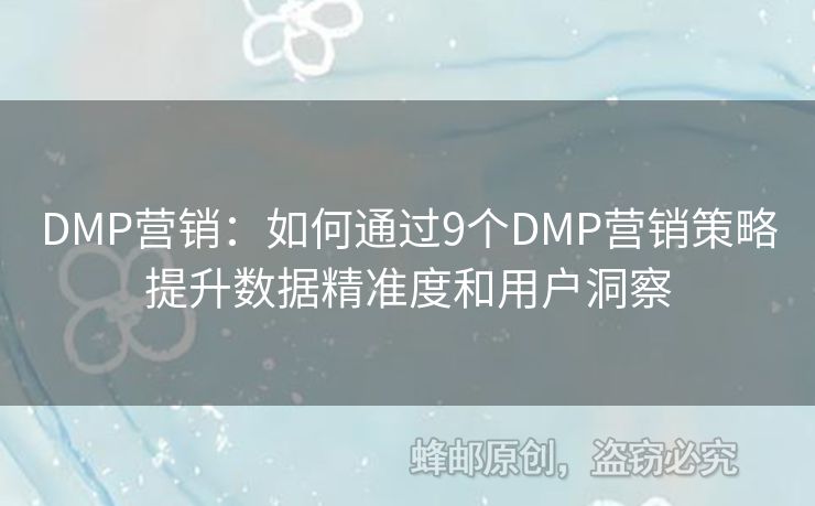 DMP营销：如何通过9个DMP营销策略提升数据精准度和用户洞察