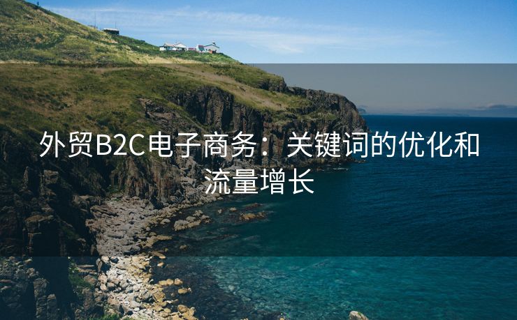 外贸B2C电子商务：关键词的优化和流量增长