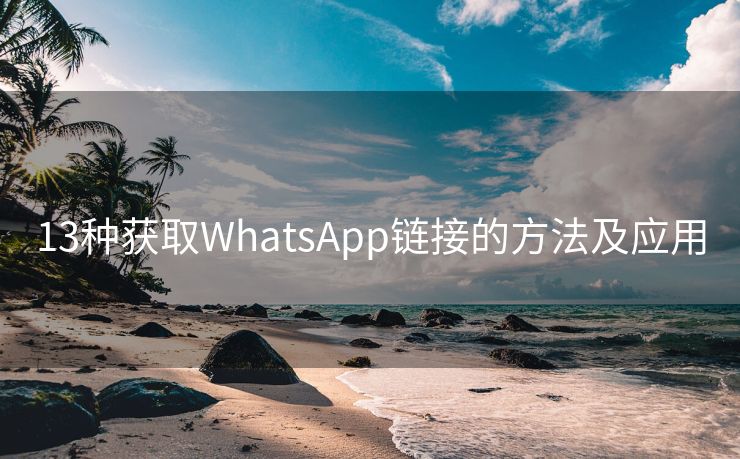 13种获取WhatsApp链接的方法及应用