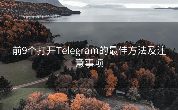 前9个打开Telegram的最佳方法及注意事项