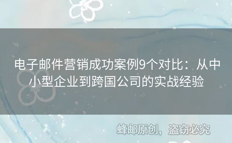 电子邮件营销成功案例9个对比：从中小型企业到跨国公司的实战经验