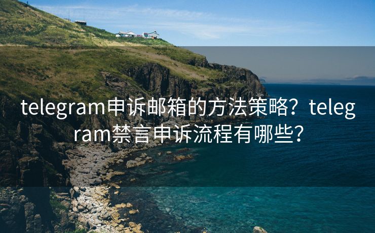 telegram申诉邮箱的方法策略？telegram禁言申诉流程有哪些？