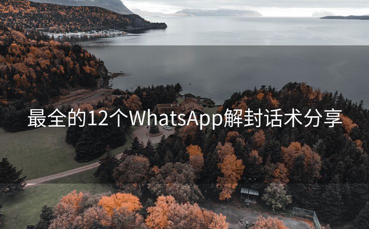 最全的12个WhatsApp解封话术分享