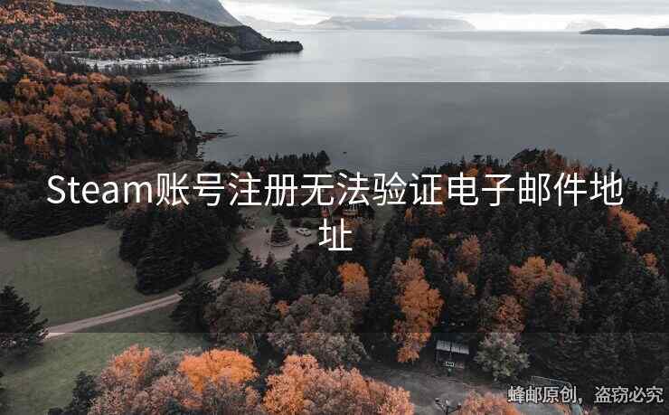 Steam账号注册无法验证电子邮件地址