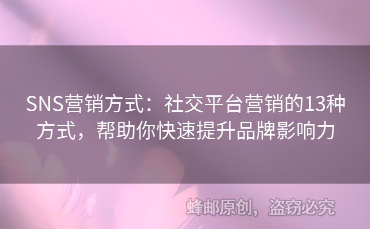 SNS营销方式：社交平台营销的13种方式，帮助你快速提升品牌影响力