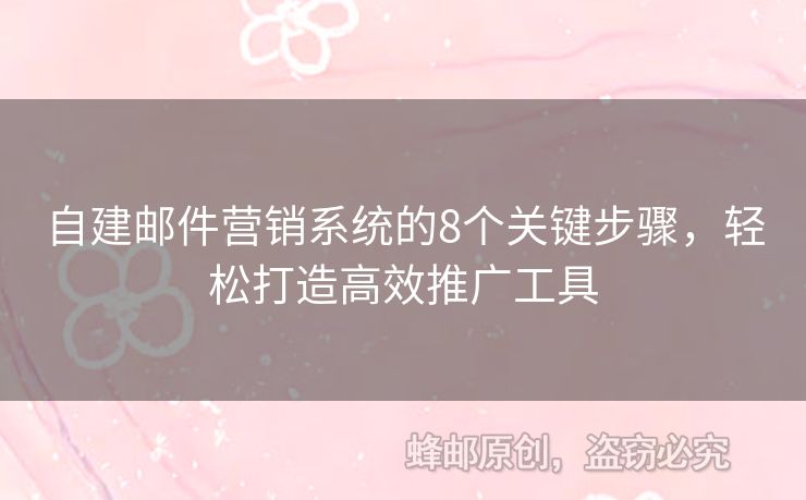 自建邮件营销系统的8个关键步骤，轻松打造高效推广工具