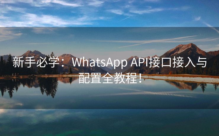 新手必学：WhatsApp API接口接入与配置全教程！
