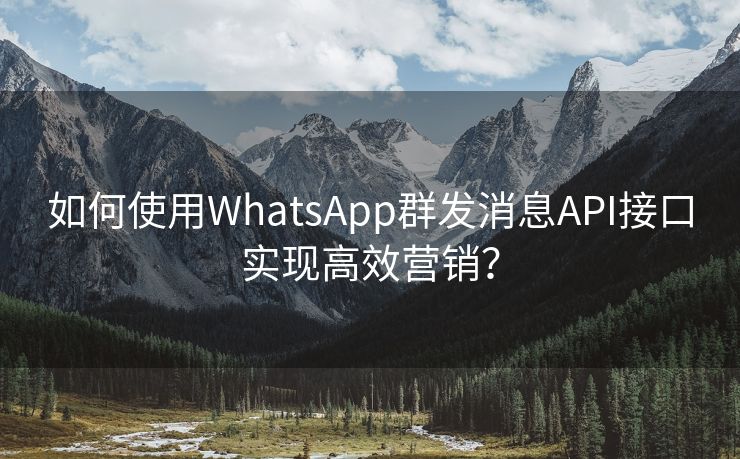 如何使用WhatsApp群发消息API接口实现高效营销？