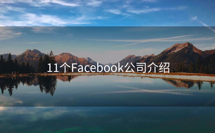 11个Facebook公司介绍