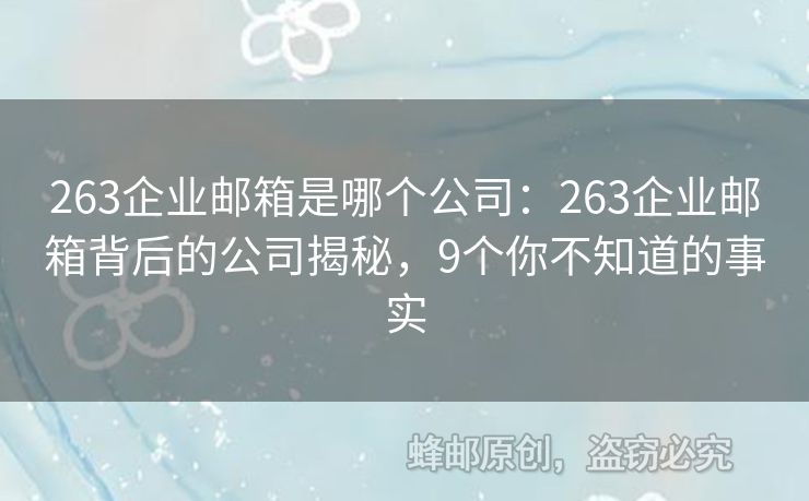 263企业邮箱是哪个公司：263企业邮箱背后的公司揭秘，9个你不知道的事实