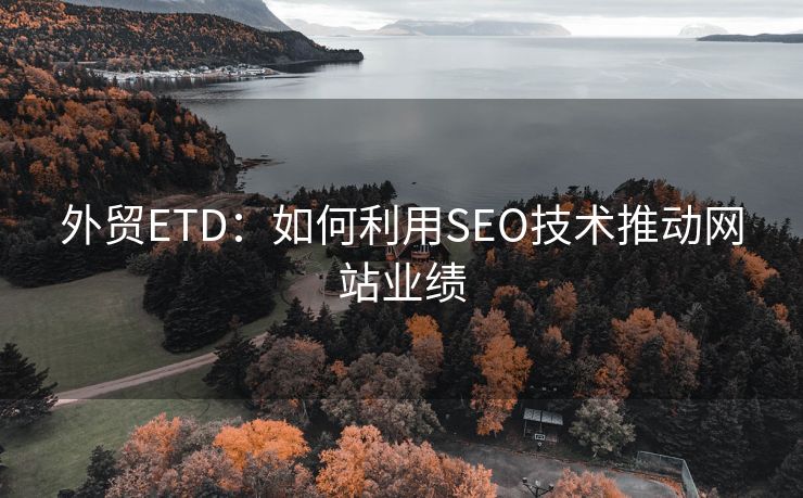 外贸ETD：如何利用SEO技术推动网站业绩