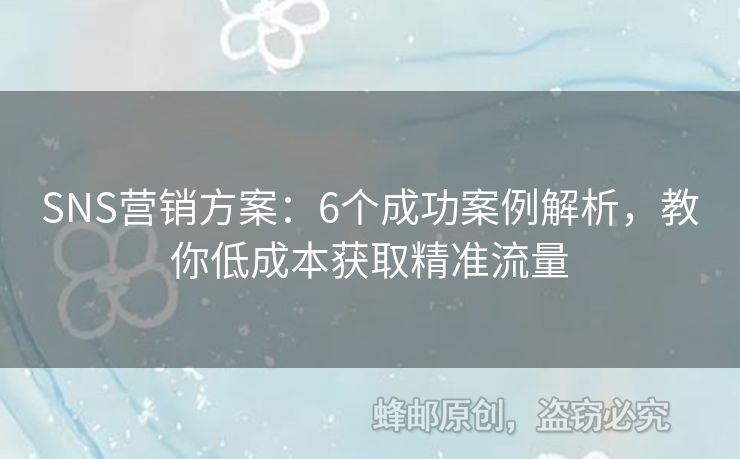 SNS营销方案：6个成功案例解析，教你低成本获取精准流量