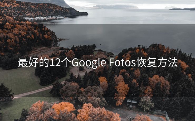 最好的12个Google Fotos恢复方法