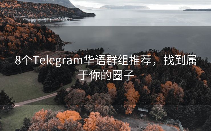 8个Telegram华语群组推荐，找到属于你的圈子