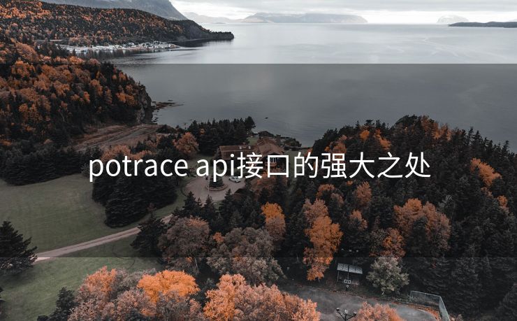 potrace api接口的强大之处