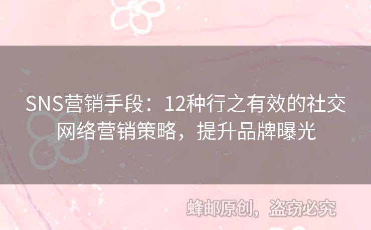 SNS营销手段：12种行之有效的社交网络营销策略，提升品牌曝光