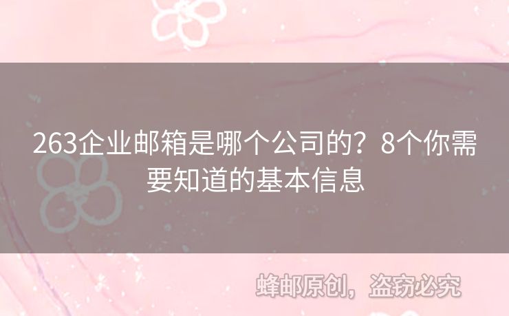 263企业邮箱是哪个公司的？8个你需要知道的基本信息