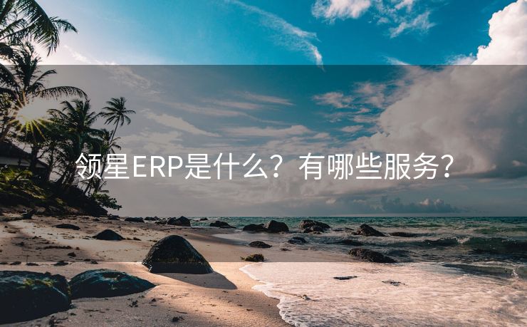 领星ERP是什么？有哪些服务？