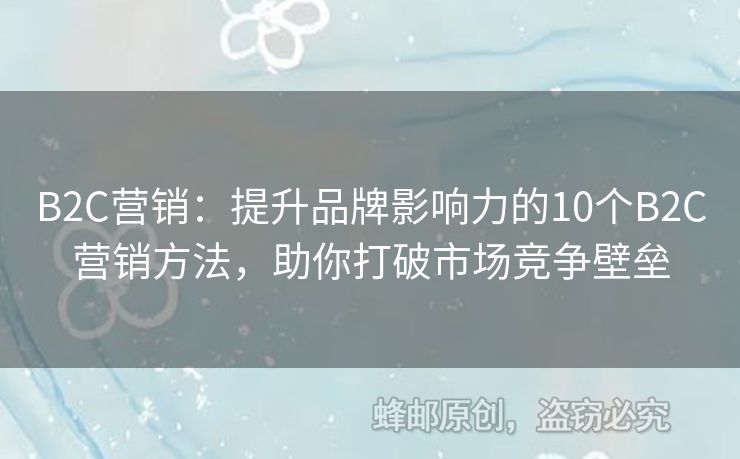 B2C营销：提升品牌影响力的10个B2C营销方法，助你打破市场竞争壁垒