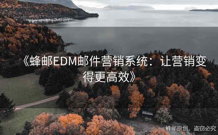 《蜂邮EDM邮件营销系统：让营销变得更高效》