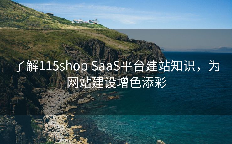 了解115shop SaaS平台建站知识，为网站建设增色添彩