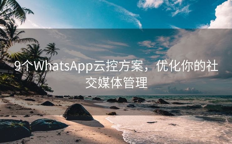 9个WhatsApp云控方案，优化你的社交媒体管理