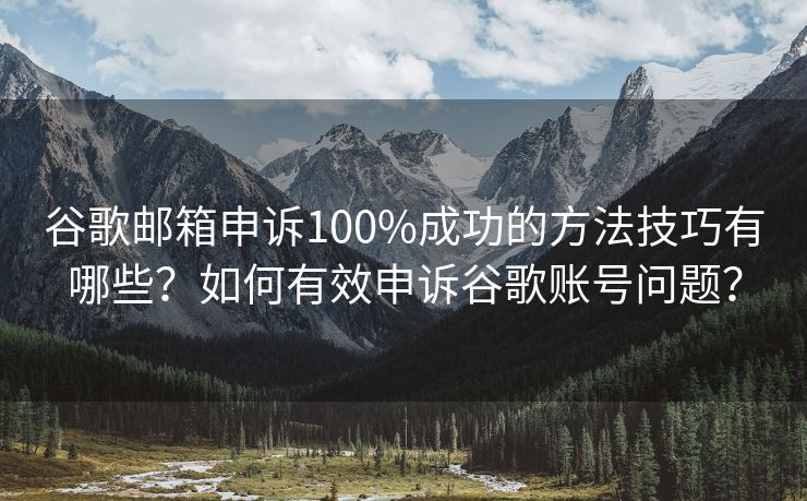 谷歌邮箱申诉100%成功的方法技巧有哪些？如何有效申诉谷歌账号问题？